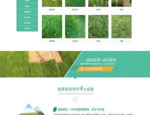 苗木草坪种植绿化工程企业网站模板-移动端自适应-蓝海网