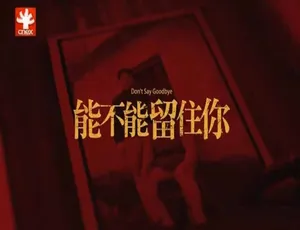 能不能留住你 Don’t Say Goodbye 纪录片 1080P国语中字高清完整版