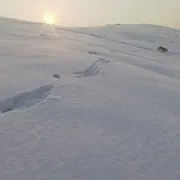 暴风雪生存危机