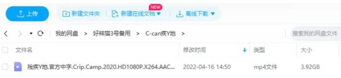残疾营地纪录片