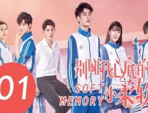《别碰我心底的小柔软》全20集 2019大陆剧 国语中字 560P MP4