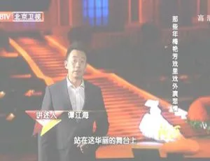 2012 BTV档案 那些年梅艳芳戏里戏外悲情人生 720p高清纪录片