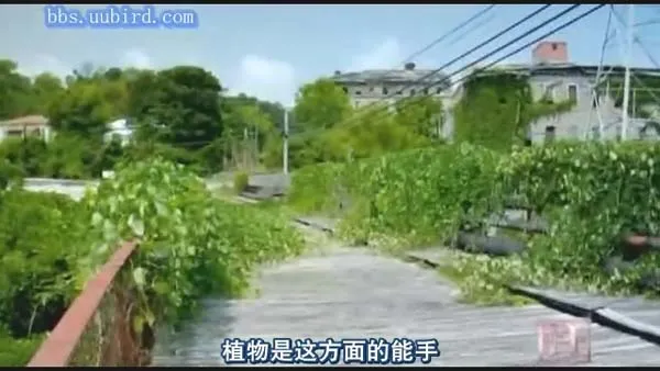 文明遗迹自然侵蚀
