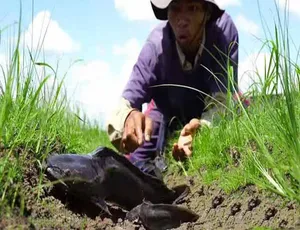 旱地挖鱼 第三季 4K高清纪录片完整版