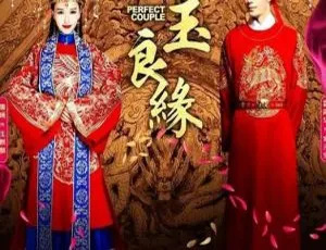 2014金玉良缘 霍建华 唐嫣 国语无字 45集全集