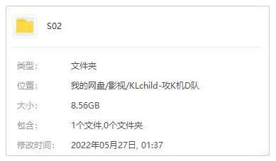 Netflix独播