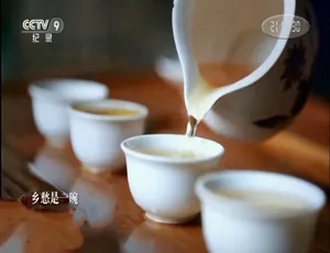 记住乡愁 第二季 全60集 1080P高清 国语中字