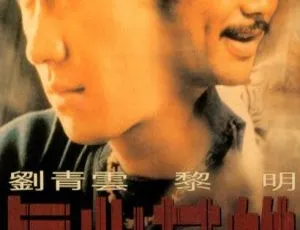 真心英雄 1998香港电影 国粤双语 MKV
