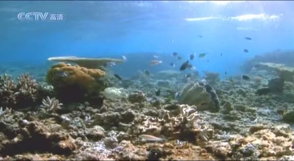 天涯海角