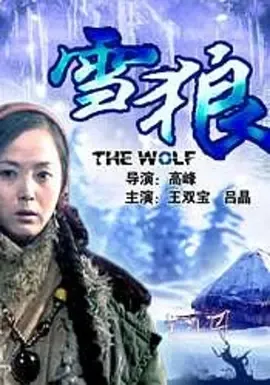 雪狼2006谍战剧
