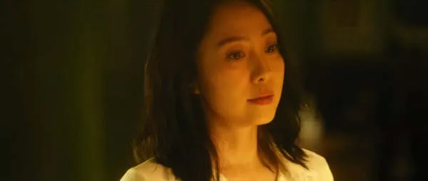 行车记录仪真相