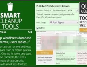 Smart Cleanup Tools 5.0中文版：智能数据库清理优化WordPress插件-蓝海网