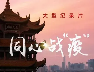 同心战疫纪录片 TS蓝光全6集高清珍藏版