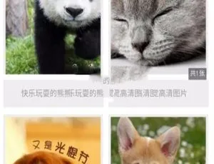 Thinkphp附近社交小程序源码 图片管理功能 前后端完整版-蓝海网