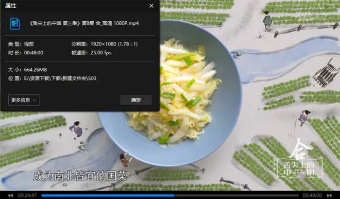 舌尖上的中国全三季