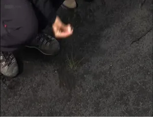 与茱莉亚·布莱伯利徒步游冰岛 高清全1集 原声中英双字纪录片-蓝海网