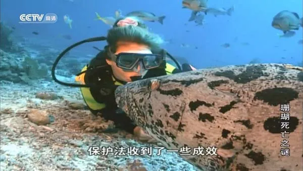 珊瑚生化武器