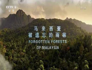 马来西亚被遗忘的雨林 Forgotten Forests of Malaysia 蓝光TS全集