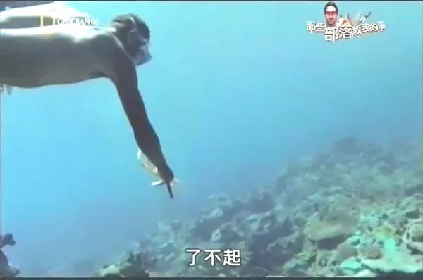 原始部落生存技巧