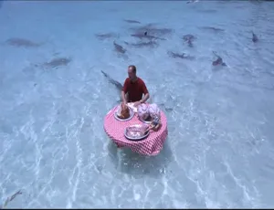 鲨鱼周2019 Shark Week 全19集 1080P高清MP4 中文字幕