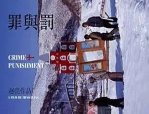 赵亮罪与罚纪录片 2007年中国大陆真实案件改编