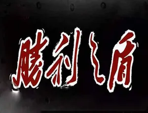 胜利之盾 全12集 蓝光高清纪录片完整版