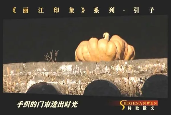 CCTV3电视诗歌散文