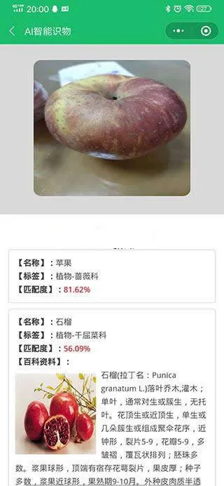 AI智能识物工具