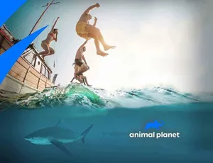 我是猎物第二季高清中文字幕1080P