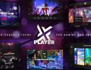 PlayerX 2.1中文版：电竞游戏高性能WordPress主题