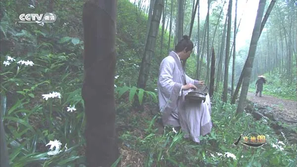 谋略智慧解析