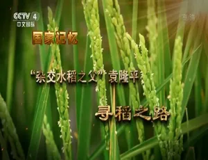国家记忆系列纪录片：杂交水稻之父袁隆平 高清珍藏版 全5集 国语中字-蓝海网