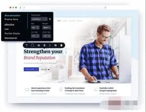 Brizy Pro 2.2.9汉化中文版 | WordPress页面可视化自定义设计插件-蓝海网