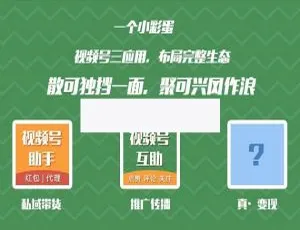 视频号链接扩展工具v1.5.0