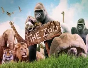 The Zoo 欢乐动物园 儿童早教英文版全30集第一季-蓝海网