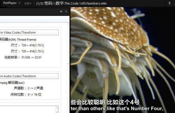 BBC数学纪录片
