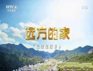 远方的家最美是家乡纪录片 720P1080i高清全56-87集