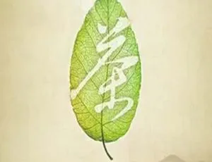 2013中国大陆纪录片 茶一片树叶的故事 高清珍藏版