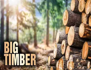 终极伐木达人 Big Timber 第一季 高清720P/1080i 中文字幕