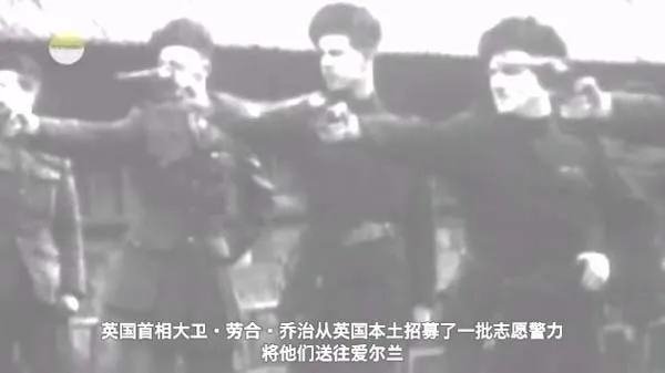 物种演化纪录片
