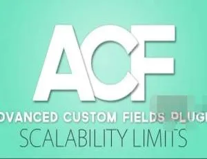 Advanced Custom Fields PRO 6.2.0中文版：专业级WordPress字段自定义插件-蓝海网