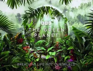 绿色星球The Green Planet全5集 BBC纪录片 4K高清中英双语字幕完整版