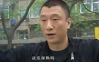 电视剧征服全集