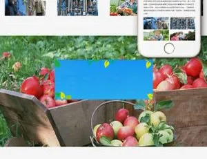 农业化肥企业高端自适应手机网站源码uublog v1.1 免费获取 2.8G高效工具包