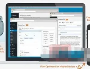 Gravity Forms高级自定义表单插件：WordPress表格设计汉化版-蓝海网