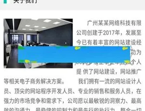 企业微官网建设 网络科技公司网站源码