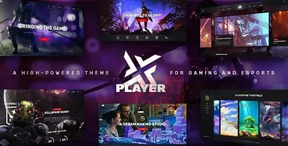 PlayerX中文版