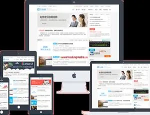 WordPress主题Dux V6.4优化升级：强化收录功能与标签页SEO优化-蓝海网