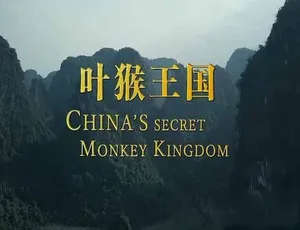 叶猴王国纪录片高清完整版中文字幕
