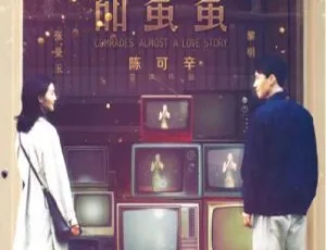 甜蜜蜜 中国香港 1996 剧情片 国语中字-蓝海网